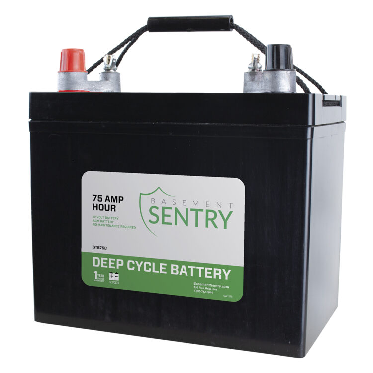 STB75B Basement Sentry Battery 75 Amp image