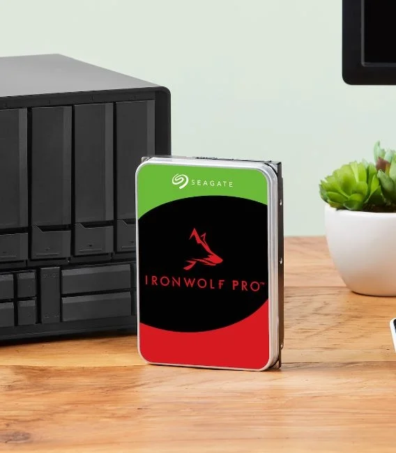 IronWolf Pro